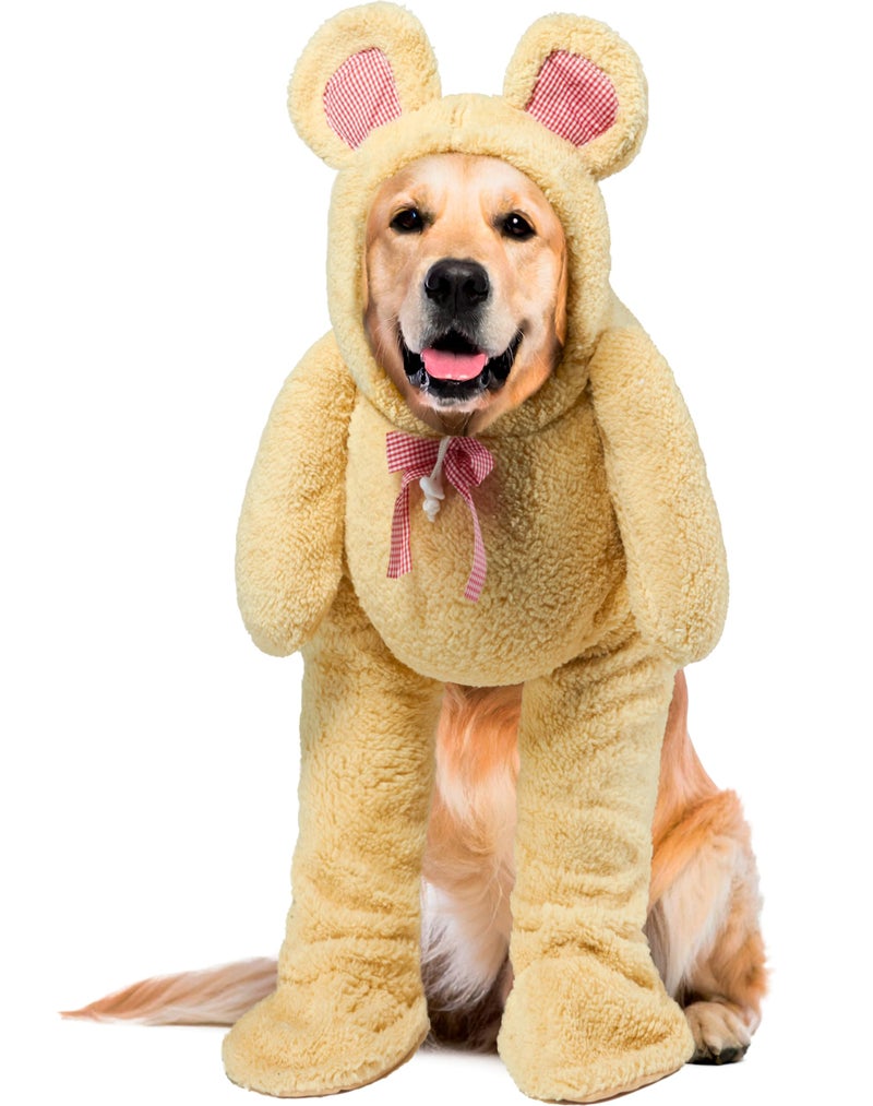 Rubies Walking Teddy Bear Pet Costume for Dogs or Cats, Large - Image 1